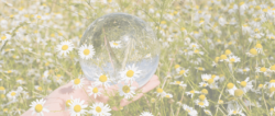 Glaskugel auf Hand in Blumenwiese, Burnout überwinden